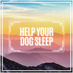 Music to Help Dogs Relax, Pt. 1