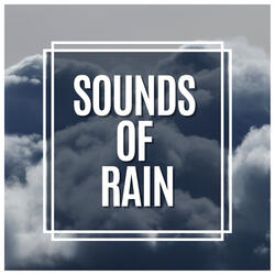 Baltic Rain Sounds, Pt 59