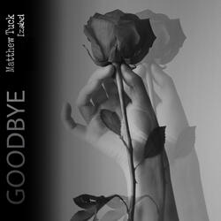 Goodbye