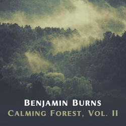 Sailing Across the Sky & Calming Forest