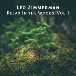 At Dawn & Relax In the Woods