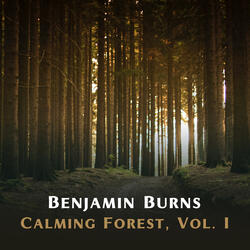 Satori & Calming Forest