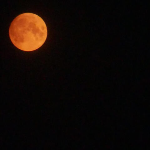 when the full moon rises