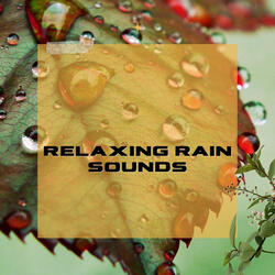 Relaxing Spa Music Collection