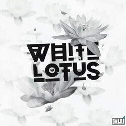 White Lotus