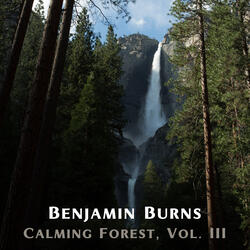 Open Heart & Calming Forest