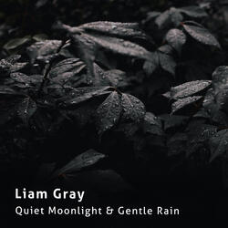 Quiet Moonlight & Gentle Rain