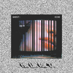 Echo