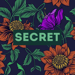 SECRET