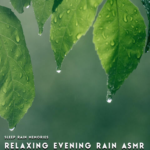 Relaxing Evening Rain Asmr