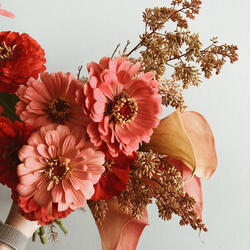 Mikros Idonoblepsias