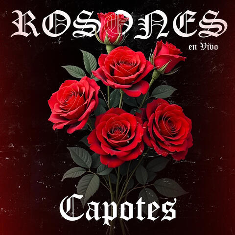 Rosones