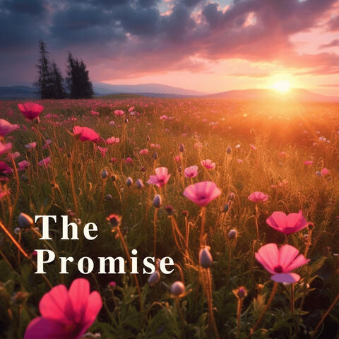 The Promise