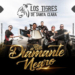 Diamante Negro