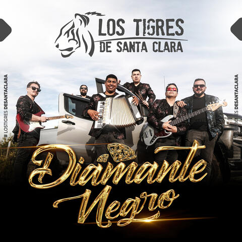Diamante Negro