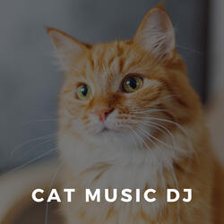 Soothing Music For Stressed Out Cats