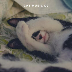 Relaxing Music For Your Cats