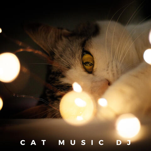 Relaxing Piano For Cats