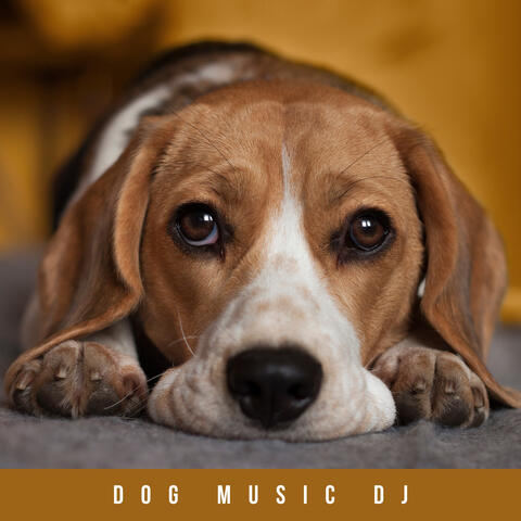 Music For Resting Dogs