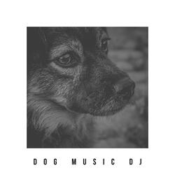 Calm Music For Dogs