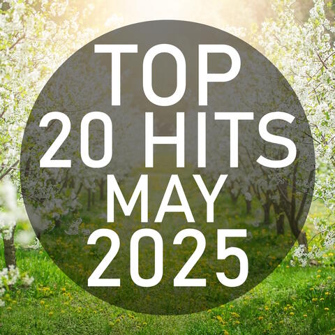 Top 20 Hits May 2025
