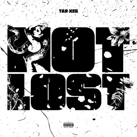 Not Lost