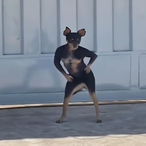 Bailalo Rocky