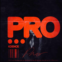 Pro (slowed + reverb)