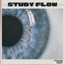 Study Session