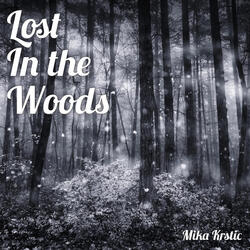 Lost in the Woods - Instrumental
