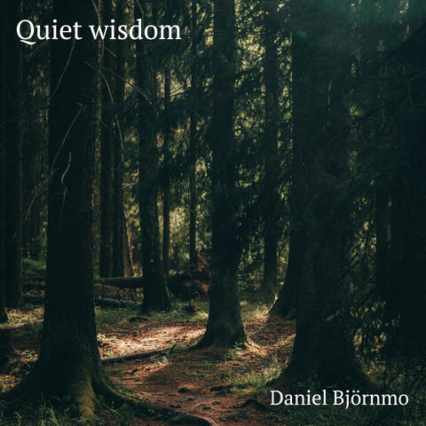Quiet wisdom
