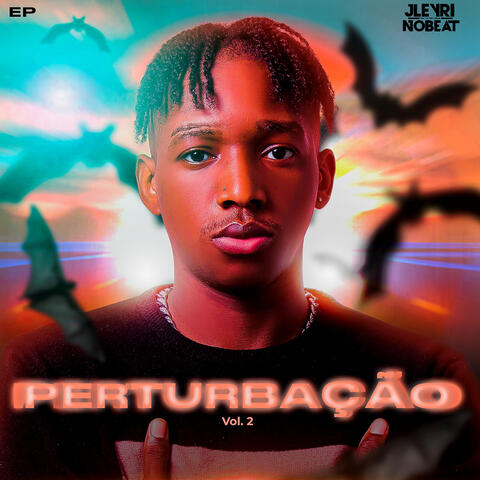 PERTURBAÇÃO VOL,2