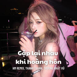 Gặp Lại Nhau Trước Hoàng Hôn (Vinahouse)