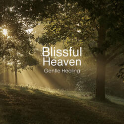 Gentle Healing