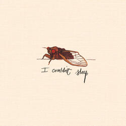 I Couldn't Sleep