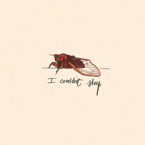 I Couldn't Sleep
