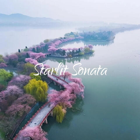 Starlit Sonata