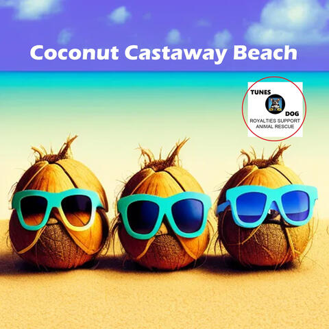 Coconut Castaway Beach