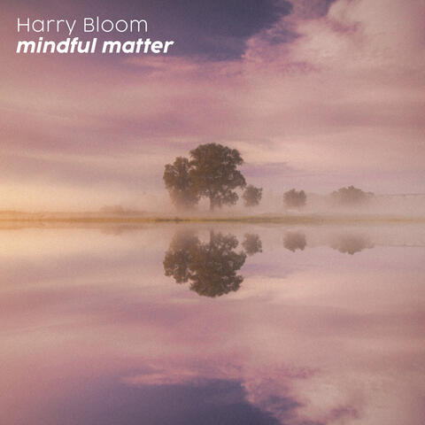 mindful matter