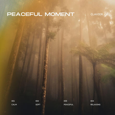 Peaceful Moment