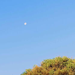 falling in love, again