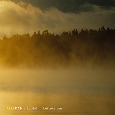 Evolving Reflections