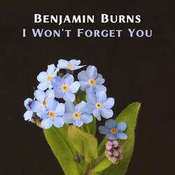 I Won't Forget You