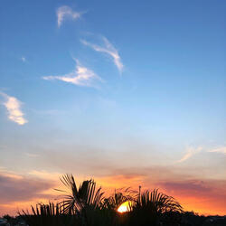 Trance Soft Guitar in the Trance Soft Nature