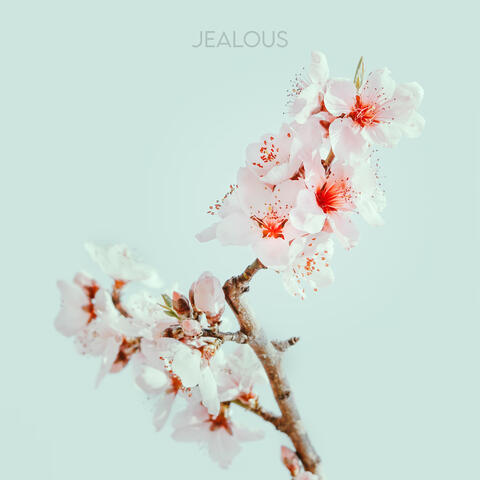 JEALOUS