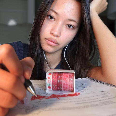 Ear to Ear Lo-Fi Whispers (Rambling & Brushing ASMR)