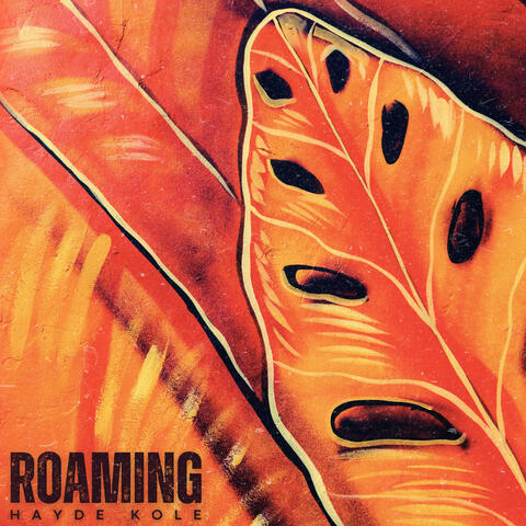 Roaming