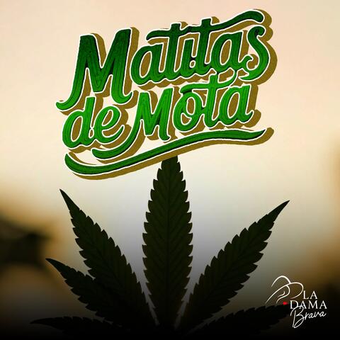 Matitas De Mota