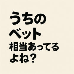 うちのベッド相当あってるよね???