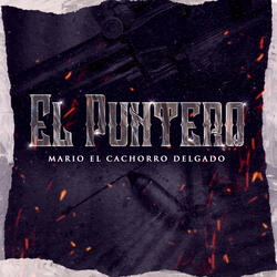 El Puntero